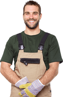 Objetivo plantar 1000 arboles