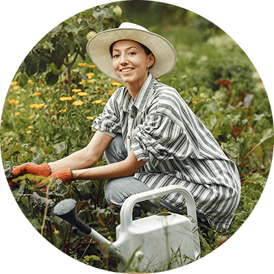 Información de tu Árbol