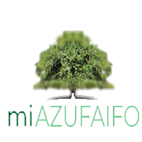 miAZUFAIFO